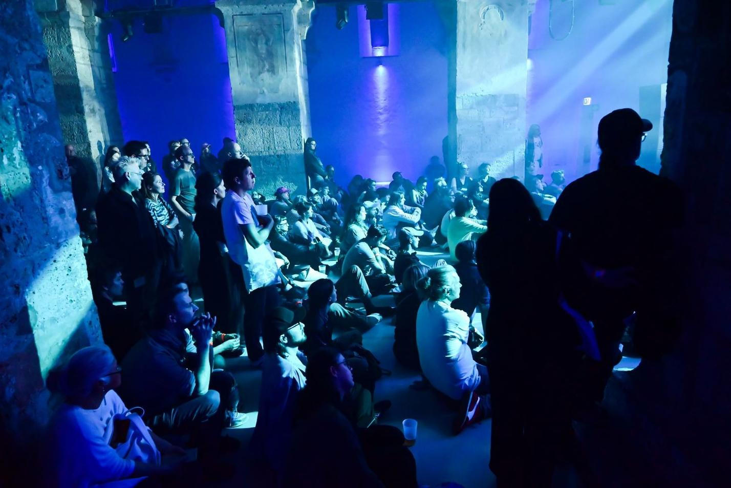 Donaufestival_Jiří Přivřel