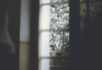Ai_Fen (4)