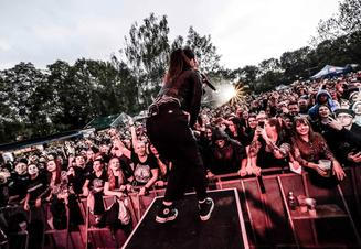TheInterrupters (9)