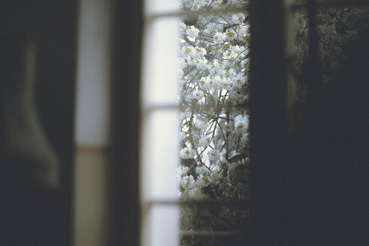 Ai_Fen (4)