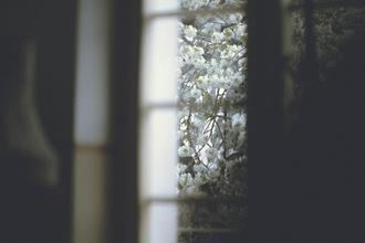 Ai_Fen (4)