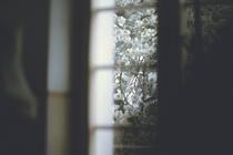 Ai_Fen (4)