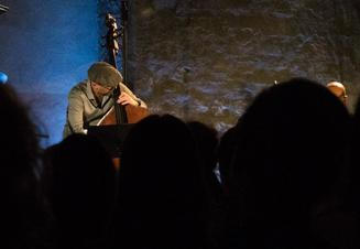 strunypodzimu_fredhersch_basa1