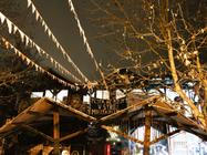 Ment - 10 - 2026-02-21 - DSCF2126