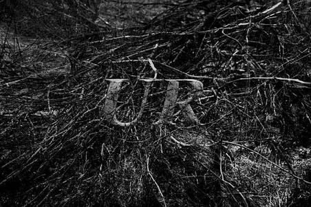 fullmoonzine.cz