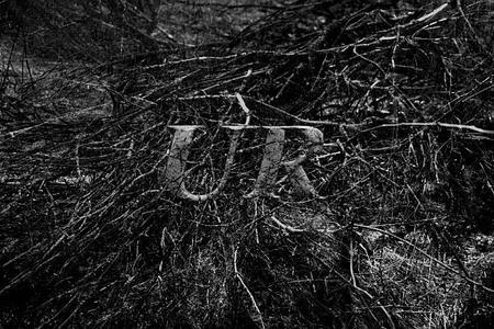 fullmoonzine.cz