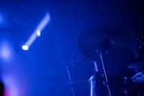 10_mammal_hands_kristyna