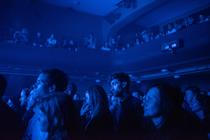 15_mammal_hands_kristyna