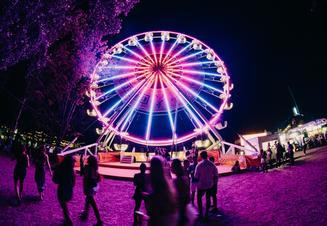 Areal_Sziget Festival 2025