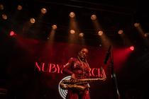 02_nubya_tyn_tyna
