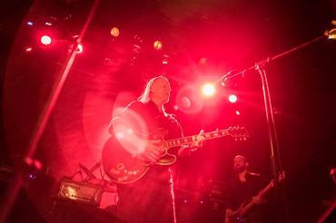 swans_03