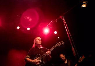 swans_01