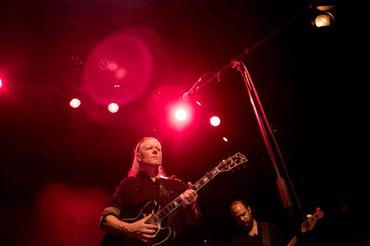 swans_01