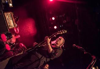 swans_04
