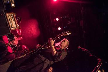 swans_04