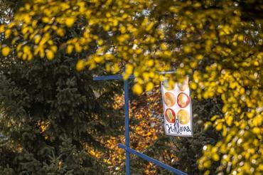 Mezinárodní festival dokumentárních filmů Ji.hlava