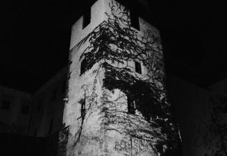 afo_04