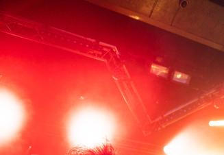 Ingested (2)