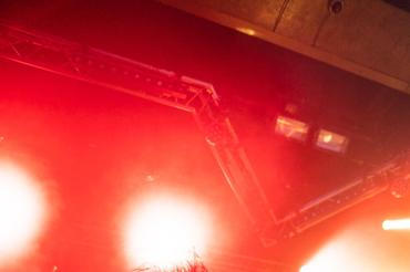 Ingested (2)