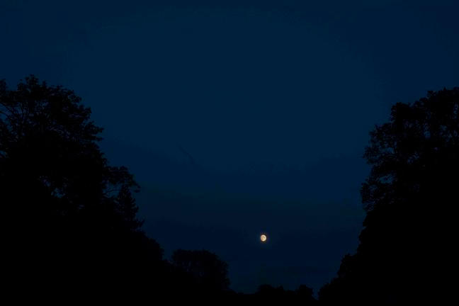 fullmoonzine.cz