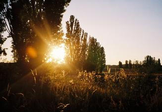 01_povalec_tyna_snovej (1)