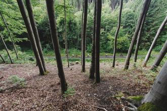 CESTA DO BEZRUČ (24)