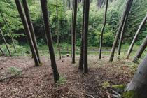 CESTA DO BEZRUČ (24)