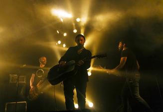 Fink (9) (1)