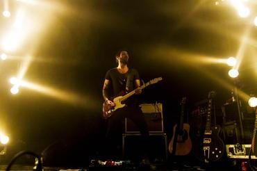 Fink (8) (1)