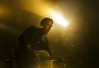 Fink (6) (1)