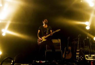 Fink (8) (1)