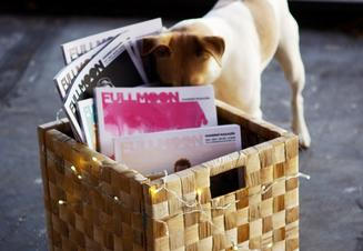 fullmoonzine.cz