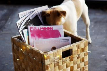 fullmoonzine.cz