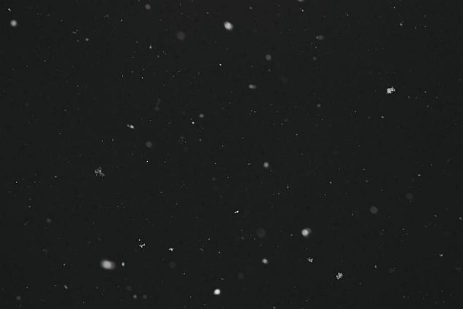 fullmoonzine.cz