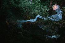 TRANSFORMA_15 (1)