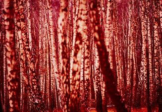 08 Waiting Around to Die