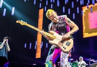 red hot chilli peppers_02