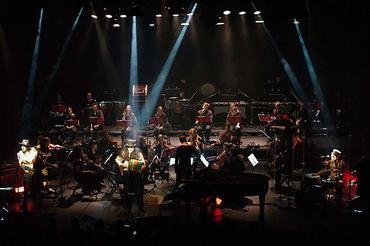 TigerLillies_5