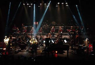 TigerLillies_5