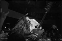 Melvins