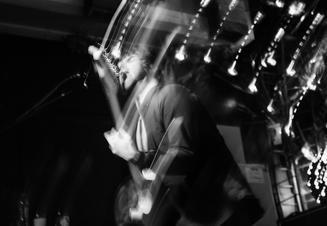BlackFoxxes4