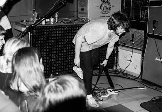 BlackFoxxes6