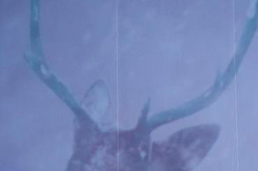 08_hior_chronik