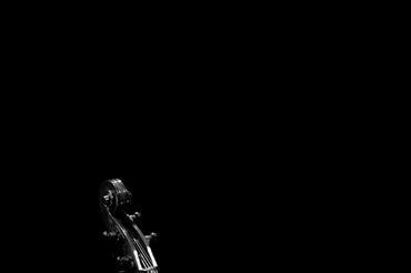 005_Jazzinec