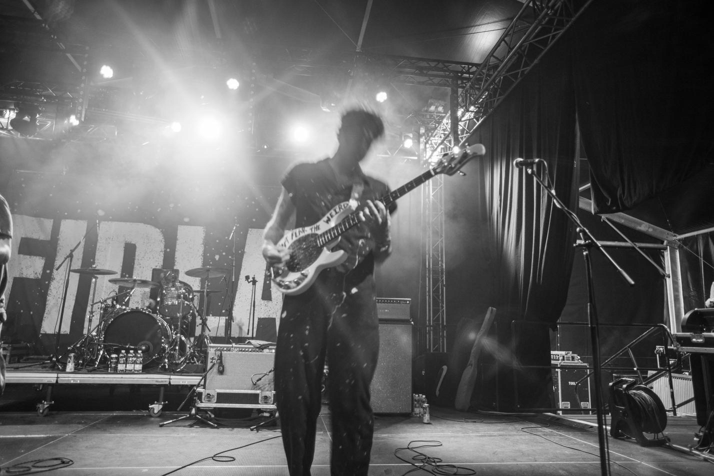 Fidlar (2)
