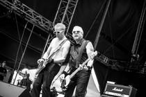 Toy Dolls