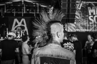 fans (4) (7)