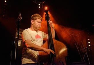 02 GoGo Penguin