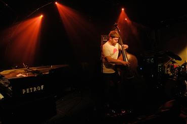 05 GoGo Penguin