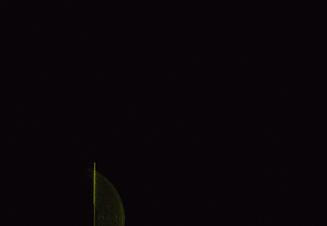 Bare_Escape_6